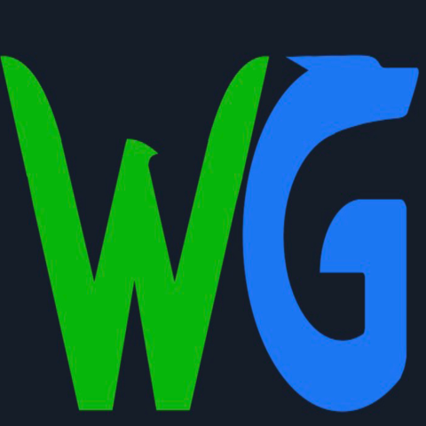 WG电子